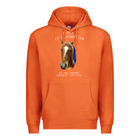 Carrot I met lil Sebastian Premium Hoodie - Bettercallsaul