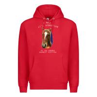 Red I met lil Sebastian Premium Hoodie - Bettercallsaul