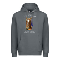 Rock I met lil Sebastian Premium Hoodie - Bettercallsaul
