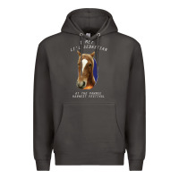 Smoke I met lil Sebastian Premium Hoodie - Bettercallsaul