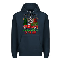 Navy its the most wonderful time of the year Premium Hoodie - MaliasSmallBusiness