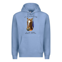 Colony Blue I met lil Sebastian Premium Hoodie - Bettercallsaul