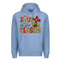 Jesus Is The Reason Premium Hoodie | Teevron