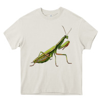 Cream mantis Heavy Core Tee - LillyAllenDesigns