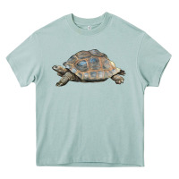 Arona Tortoise Illustrations Heavy Core Tee - LillyAllenDesigns