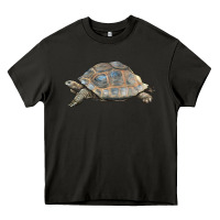 Asphalt Tortoise Illustrations Heavy Core Tee - LillyAllenDesigns