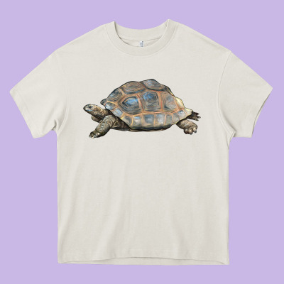 Tortoise Illustrations Heavy Core Tee Designed By Lillyallendesigns