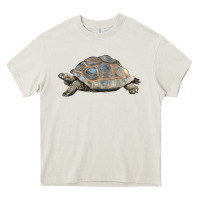 Cream Tortoise Illustrations Heavy Core Tee - LillyAllenDesigns