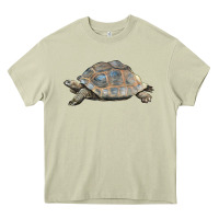 Mossy Tortoise Illustrations Heavy Core Tee - LillyAllenDesigns