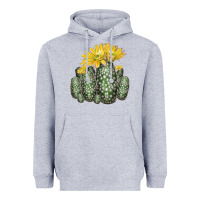 Heather Grey texas rainbow cactus Heavyweight Hoodie - LillyAllenDesigns