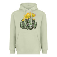 Matcha texas rainbow cactus Heavyweight Hoodie - LillyAllenDesigns
