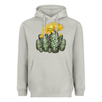 Moon Dust texas rainbow cactus Heavyweight Hoodie - LillyAllenDesigns