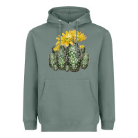 Sage texas rainbow cactus Heavyweight Hoodie - LillyAllenDesigns