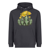 Texas Rainbow Cactus Heavyweight Hoodie | Teevron