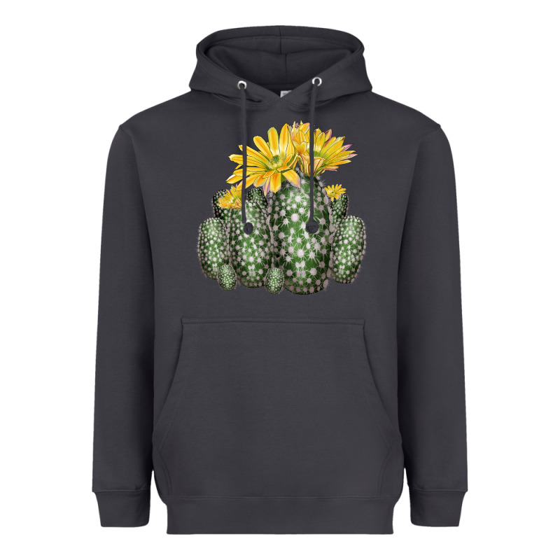 Texas Rainbow Cactus Heavyweight Hoodie by LillyAllenDesigns | Teevron