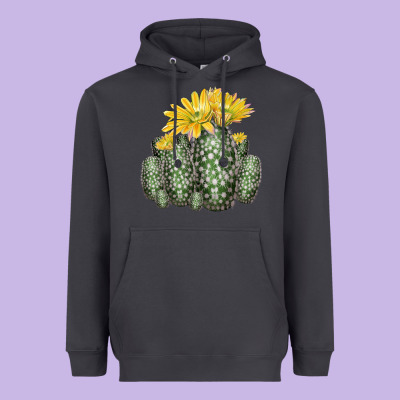 Texas Rainbow Cactus Heavyweight Hoodie Designed By Lillyallendesigns