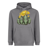 Storm texas rainbow cactus Heavyweight Hoodie - LillyAllenDesigns