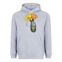 Texas Rainbow Cactus Heavyweight Hoodie | Teevron