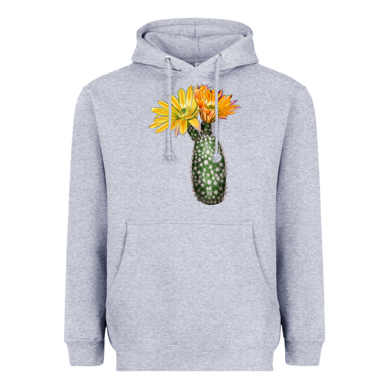 Texas Rainbow Cactus Heavyweight Hoodie by LillyAllenDesigns | Teevron