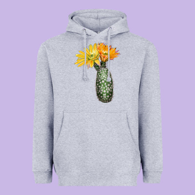 Texas Rainbow Cactus Heavyweight Hoodie Designed By Lillyallendesigns