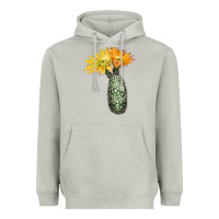 Moon Dust texas rainbow cactus Heavyweight Hoodie - LillyAllenDesigns