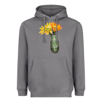 Storm texas rainbow cactus Heavyweight Hoodie - LillyAllenDesigns