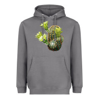 Storm nylon hedgehog cactus Heavyweight Hoodie - LillyAllenDesigns
