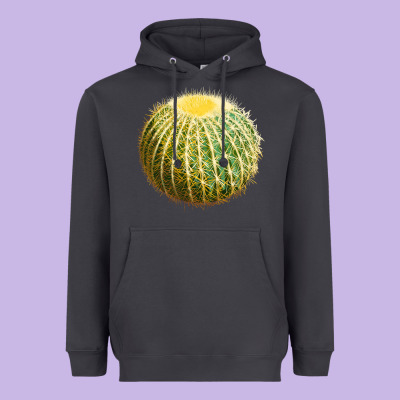 Golden Barrel Cactus Heavyweight Hoodie Designed By Lillyallendesigns