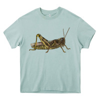 Arona Grasshopper Heavy Core Tee - LillyAllenDesigns