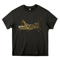Asphalt Grasshopper Heavy Core Tee - LillyAllenDesigns