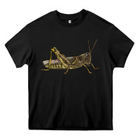 Black Grasshopper Heavy Core Tee - LillyAllenDesigns