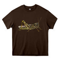 Chocolate Brown Grasshopper Heavy Core Tee - LillyAllenDesigns