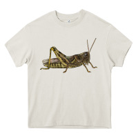 Cream Grasshopper Heavy Core Tee - LillyAllenDesigns
