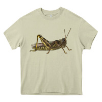 Mossy Grasshopper Heavy Core Tee - LillyAllenDesigns