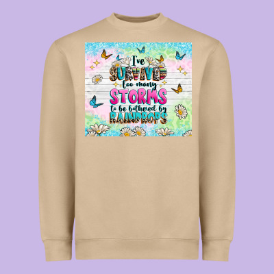 Heavyweight Sweatshirt ive survived too many storms