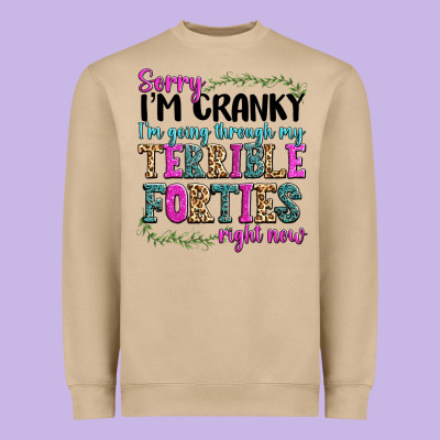 Heavyweight Sweatshirt sorry im cranky im going through my terrible forti