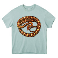 Arona Corn Snake Illustrations Heavy Core Tee - LillyAllenDesigns