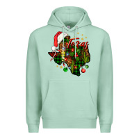 Seafoam Christmas Texas map Premium Hoodie - NancyCooperArtShop