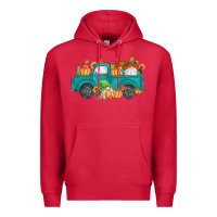 Fall Gnomes Truck Premium Hoodie | Teevron