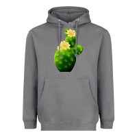 Storm texas cactus Heavyweight Hoodie - LillyAllenDesigns
