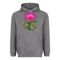 Storm eagle claws cactus Heavyweight Hoodie - LillyAllenDesigns