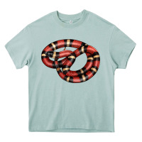 Arona milk snake Heavy Core Tee - LillyAllenDesigns