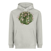 Moon Dust eagle claws cactus Heavyweight Hoodie - LillyAllenDesigns