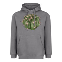 Storm eagle claws cactus Heavyweight Hoodie - LillyAllenDesigns