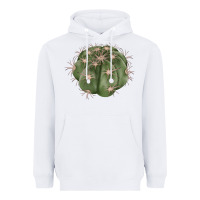 White eagle claws cactus Heavyweight Hoodie - LillyAllenDesigns