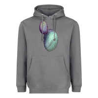 Storm opunthia santa rita cactus Heavyweight Hoodie - LillyAllenDesigns