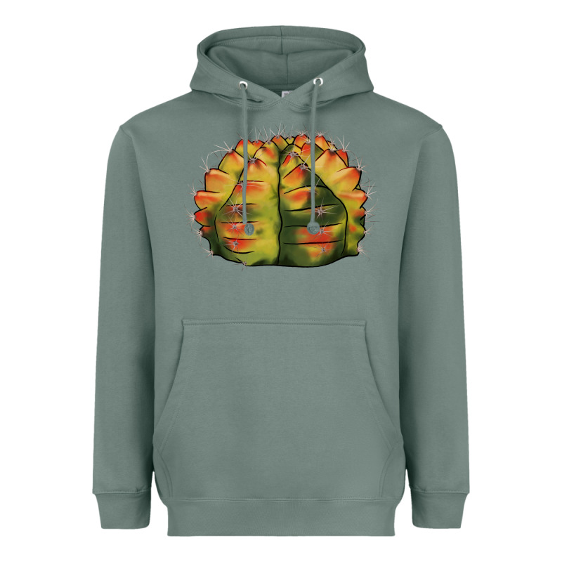Gymnocalycium Variegated Cactus Heavyweight Hoodie by LillyAllenDesigns | Teevron