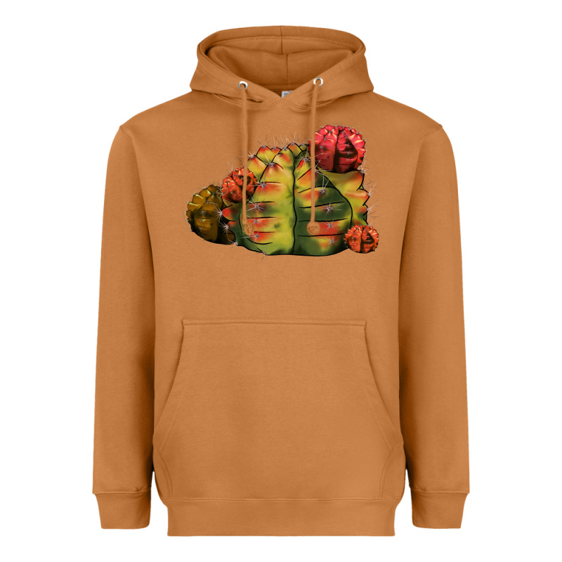 Gymnocalycium Variegated Cactus Heavyweight Hoodie by LillyAllenDesigns | Teevron
