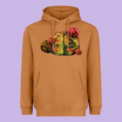 Gymnocalycium Variegated Cactus Heavyweight Hoodie Designed By Lillyallendesigns