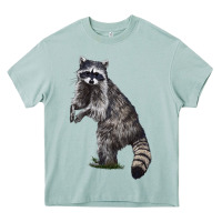 Arona Raccoon Illustrations Heavy Core Tee - LillyAllenDesigns